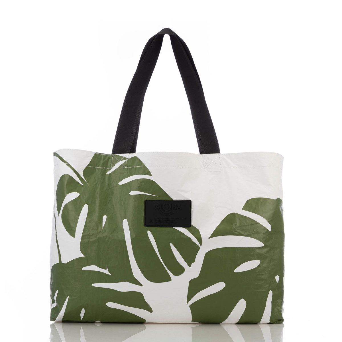 Monstera Holo Holo in Seaweed