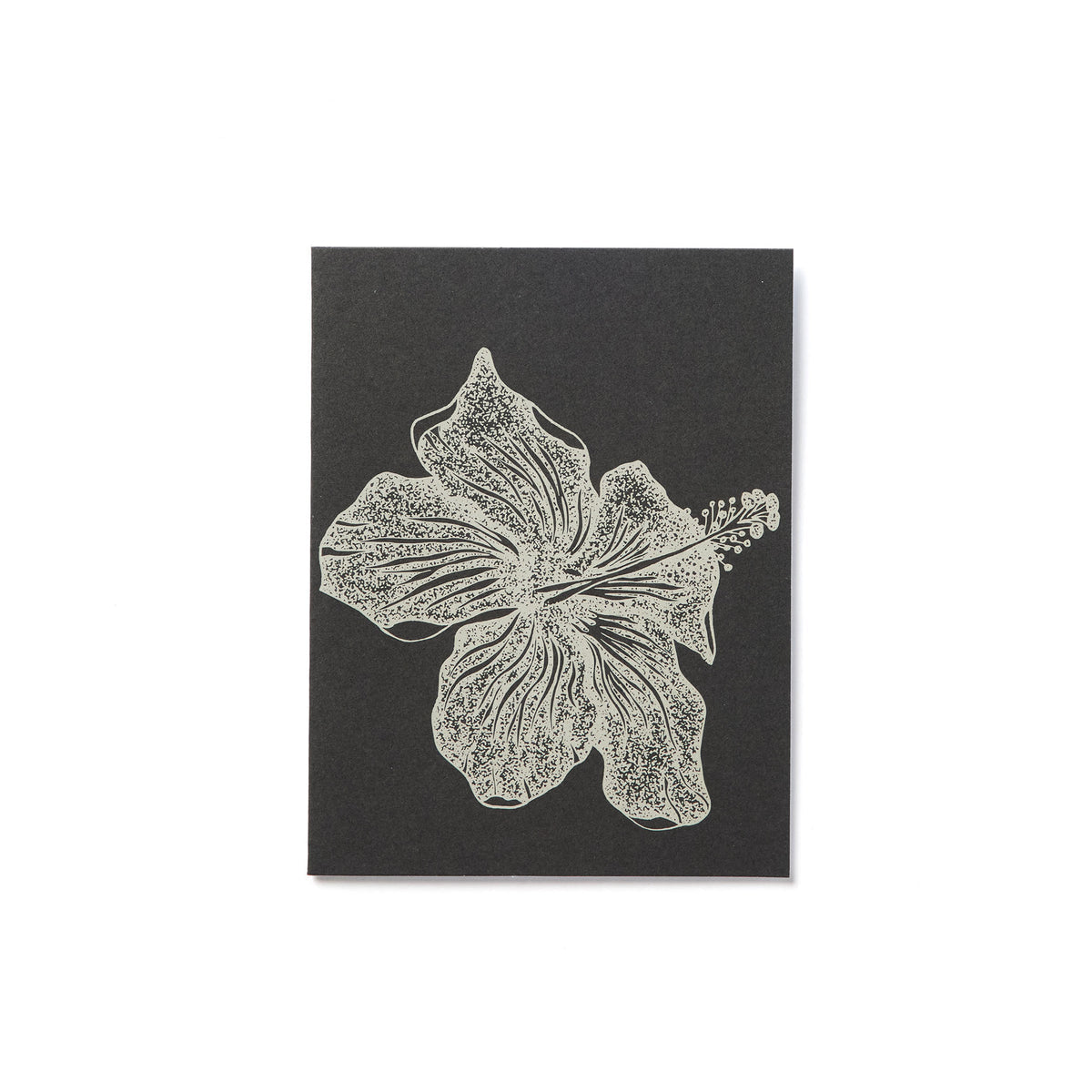 Everyday Card Pack | Spring Multi Pack