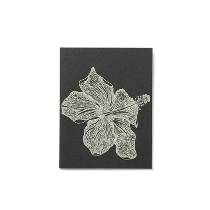 Everyday Card Pack | Spring Multi Pack