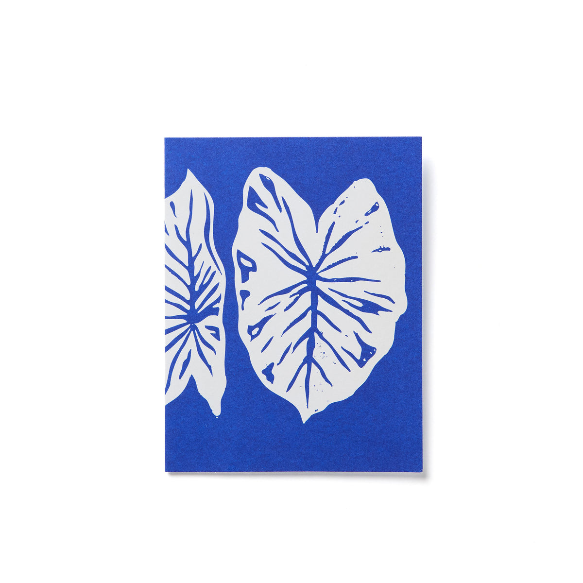 Everyday Card Pack | Spring Multi Pack