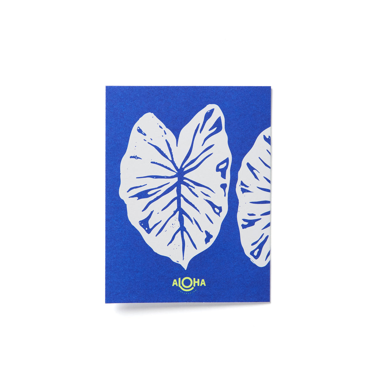Everyday Card Pack | Spring Multi Pack